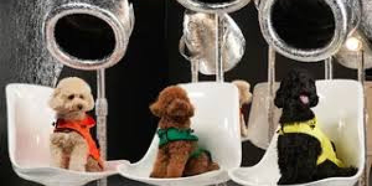 Eco-Friendly Pet Products for Conscious Dog Owners