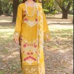 Plus Size Pakistani Dresses Profile Picture