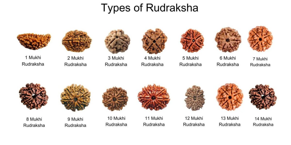Why Rudraksha Is Important for Meditation and Mental Peace
