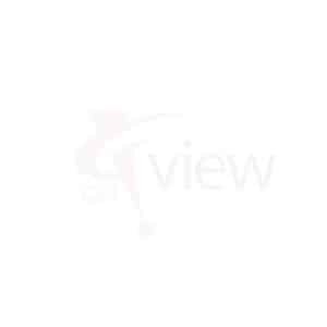 Semiconductor - VIEW Micro Metrology