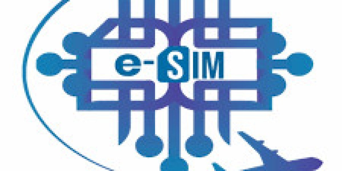 Everything You Need to Know About eSIM Italy Travel