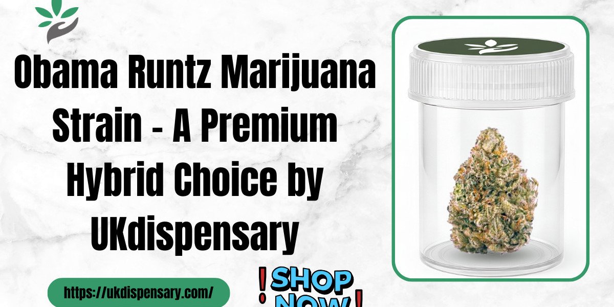 Obama Runtz Marijuana Strain | Premium Cannabis by UKdispensary