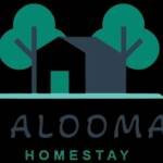 Alooma homes Profile Picture